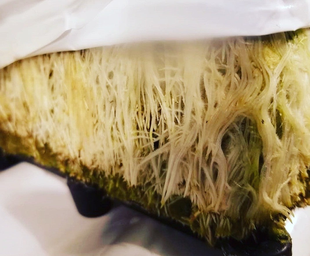 Root Riser